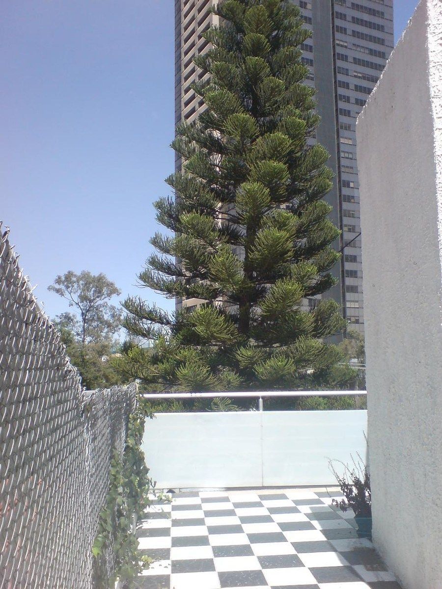 Casa en Lomas de Chapultepec I Sección, Miguel Hidalgo, foto 7 de 17