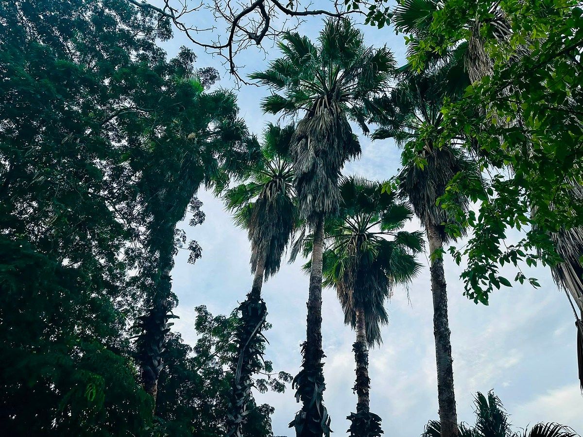 Casa em Mérida Centro, Mérida, foto 24 de 24