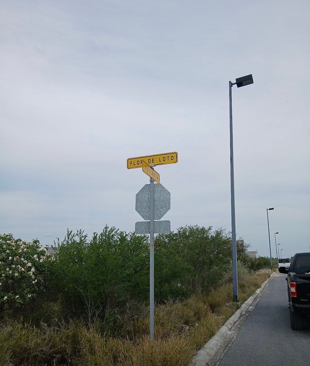 2 de 3