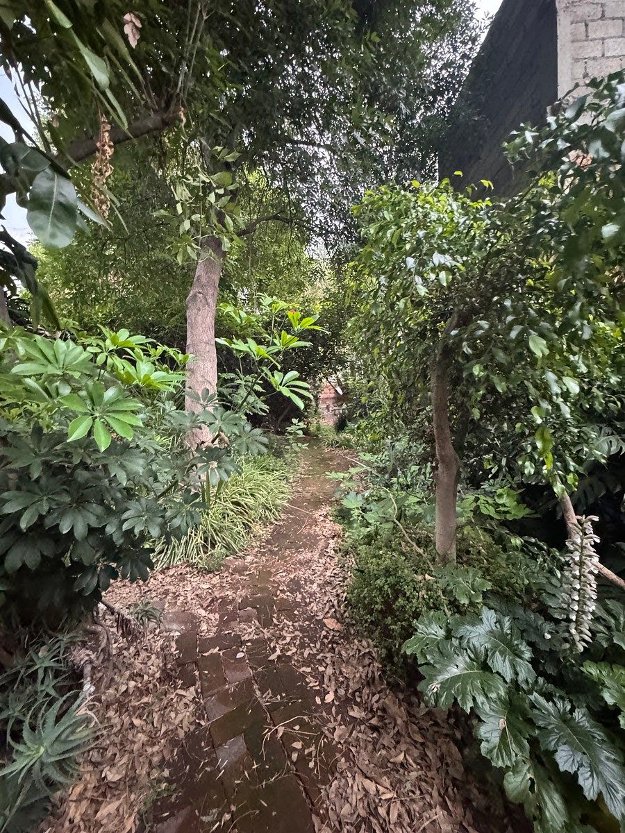Casa con uso de suelo en Santa María Tepepan, Xochimilco, foto 14 de 16