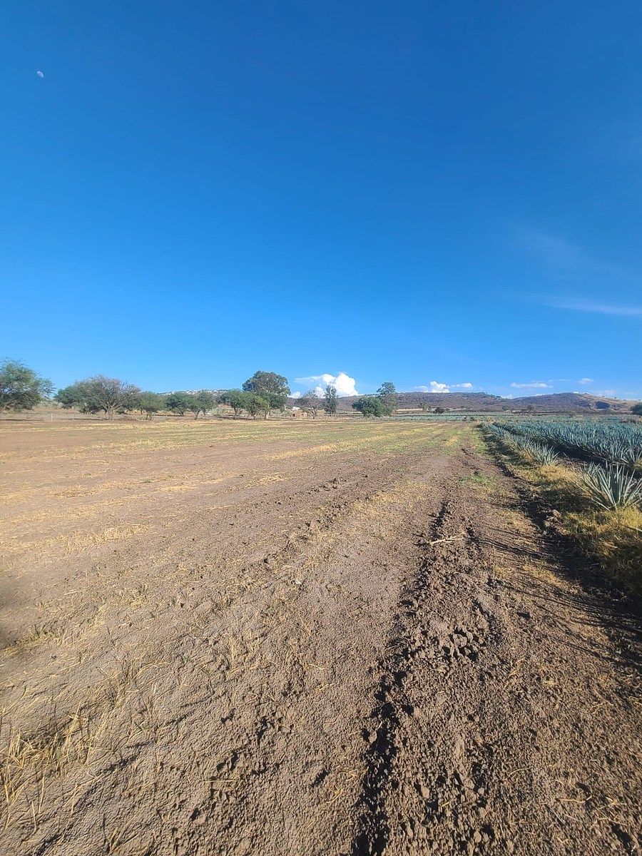 Lot in Cajititlán, Tlajomulco de Zúñiga, photo 11 of 14