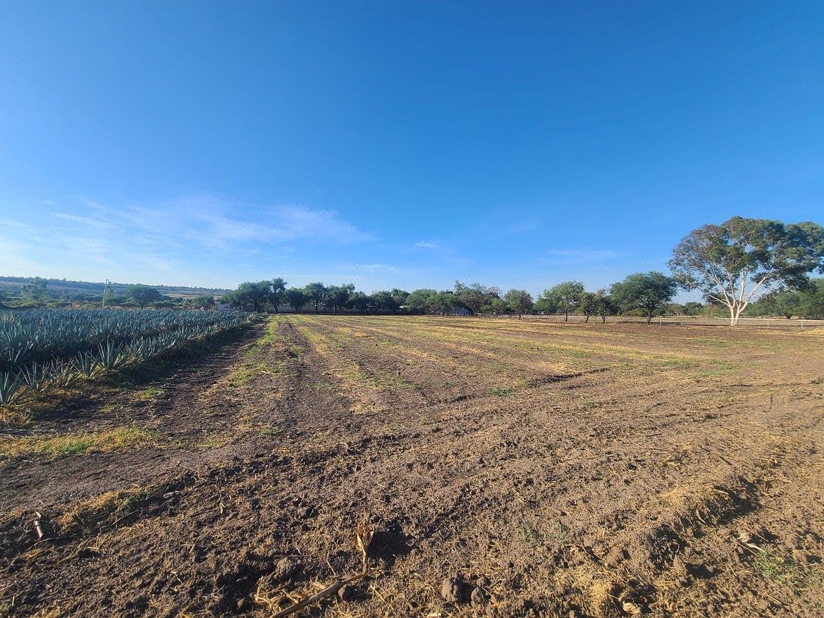 Lot in Cajititlán, Tlajomulco de Zúñiga, photo 13 of 14