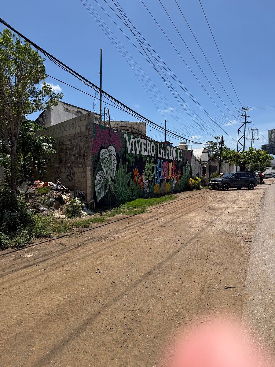 Commercial Lot in Cholul, Mérida, photo 6 of 7