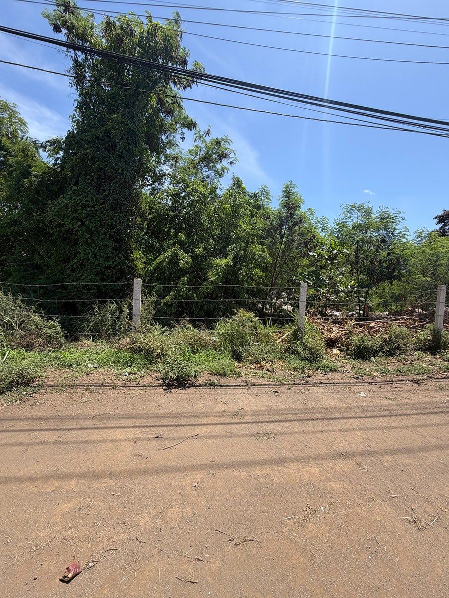 Commercial Lot in Cholul, Mérida, photo 5 of 7