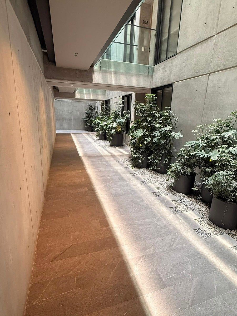 Apartment in Roma Norte, Cuauhtémoc, photo 11 of 20