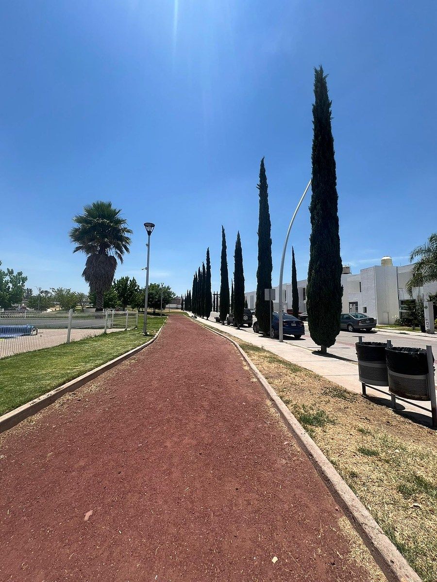 House in Gated Community in Barlovento, Aguascalientes, photo 17 of 22