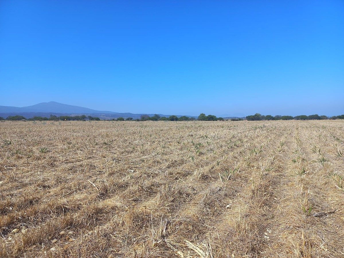 Commercial Lot in Tarimoro, Tarimoro, photo 8 of 19