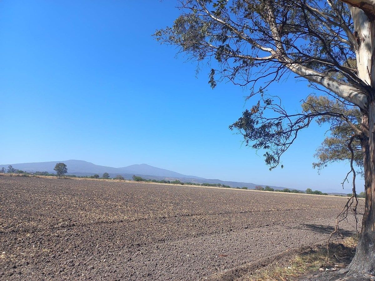 Commercial Lot in Tarimoro, Tarimoro, photo 10 of 19