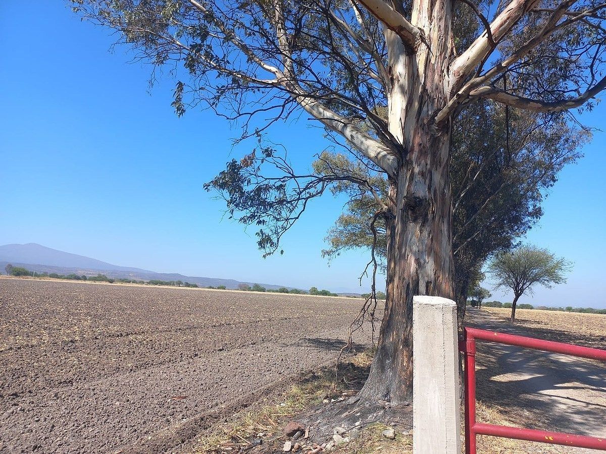 Commercial Lot in Tarimoro, Tarimoro, photo 11 of 19