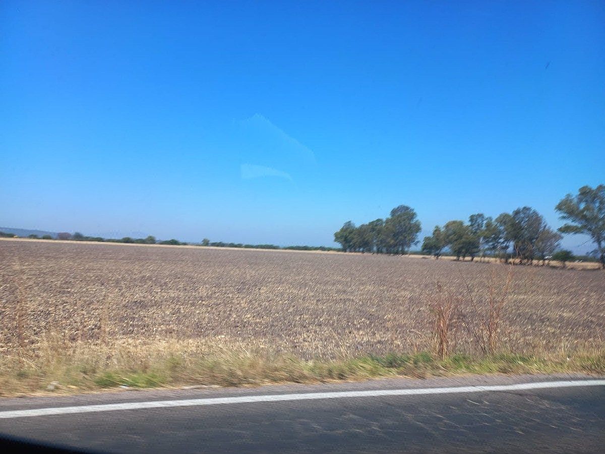 Commercial Lot in Tarimoro, Tarimoro, photo 13 of 19