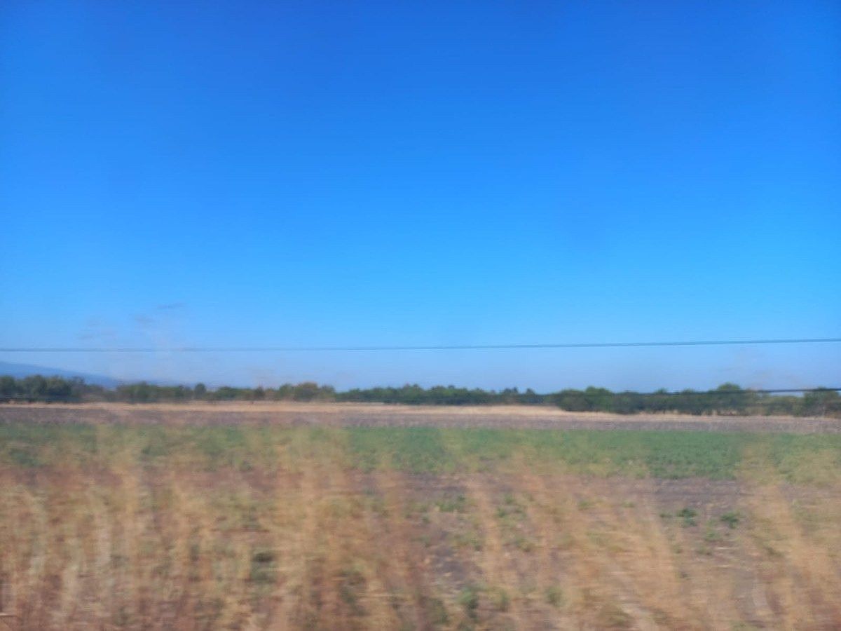 Commercial Lot in Tarimoro, Tarimoro, photo 14 of 19