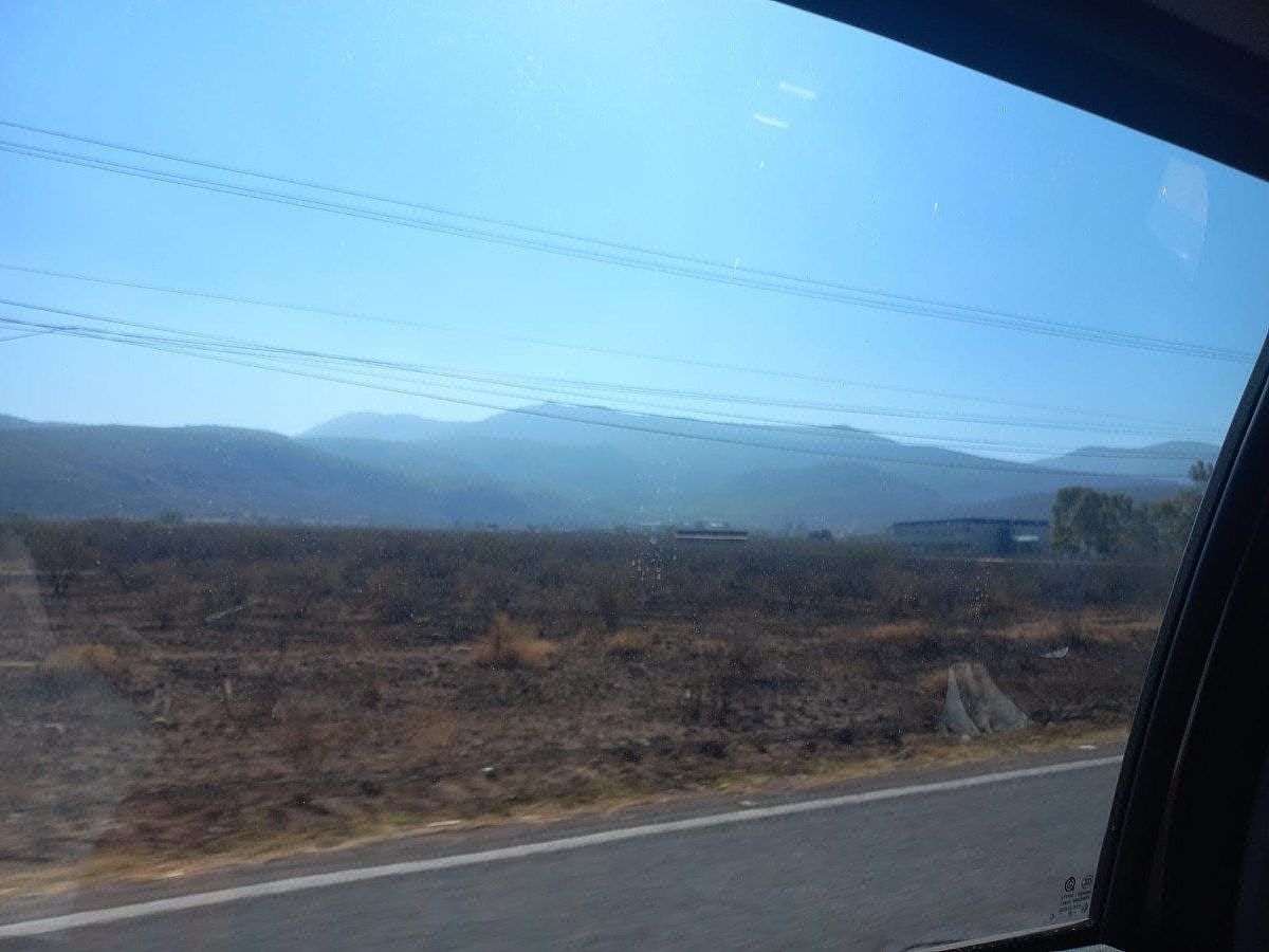 Commercial Lot in Tarimoro, Tarimoro, photo 15 of 19