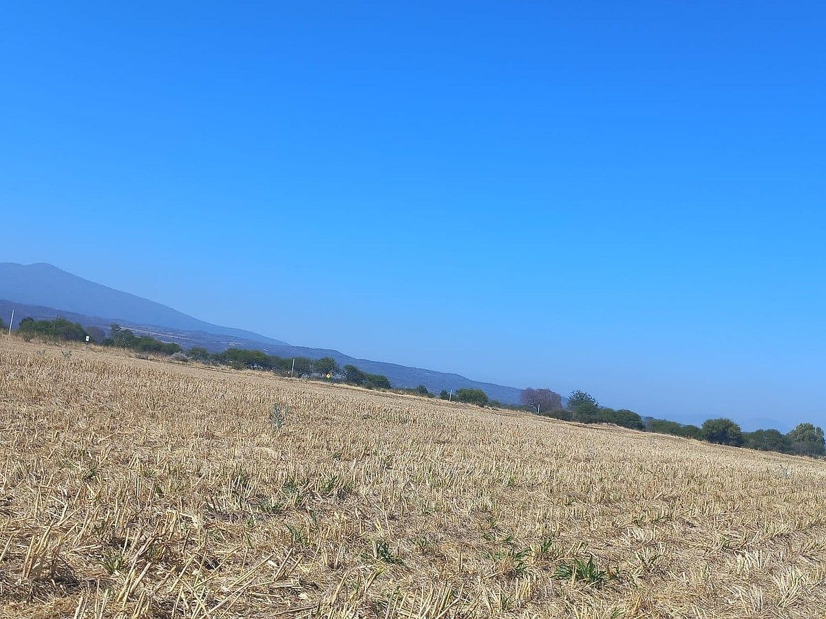 Commercial Lot in Tarimoro, Tarimoro, photo 18 of 19