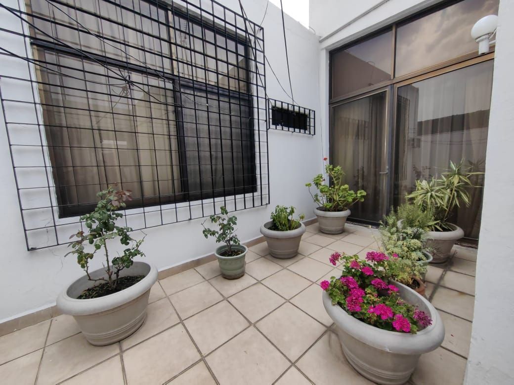 House in Jardines del Pedregal, Álvaro Obregón, photo 19 of 49