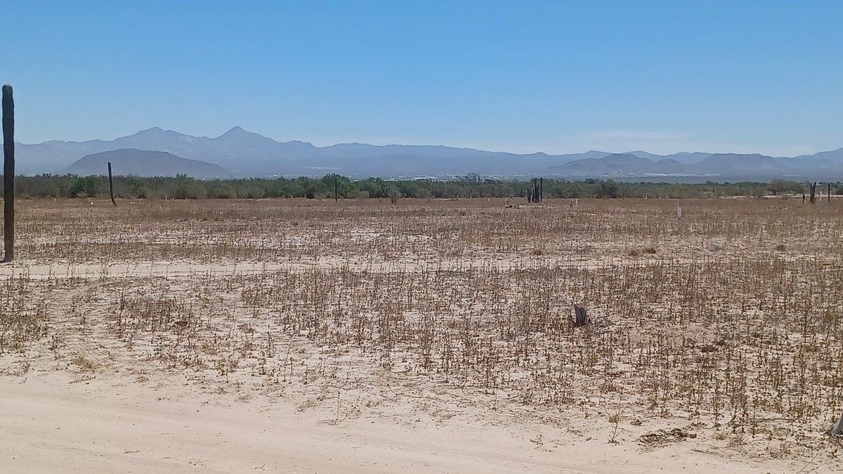 Lot in Chametla, La Paz, photo 3 of 6
