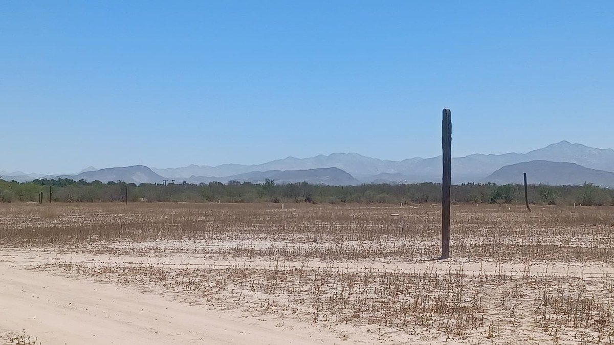 Lot in Chametla, La Paz, photo 4 of 6