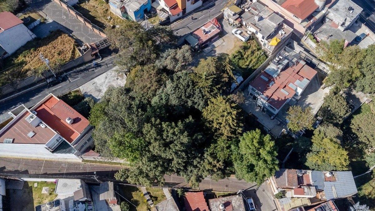 Lot in Cuajimalpa, Cuajimalpa de Morelos, photo 4 of 11