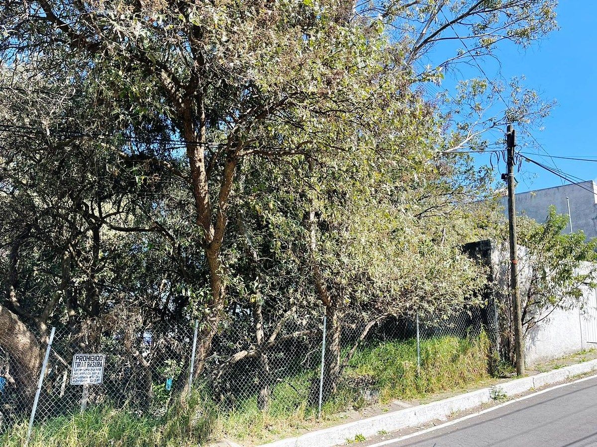 Lot in Cuajimalpa, Cuajimalpa de Morelos, photo 2 of 11