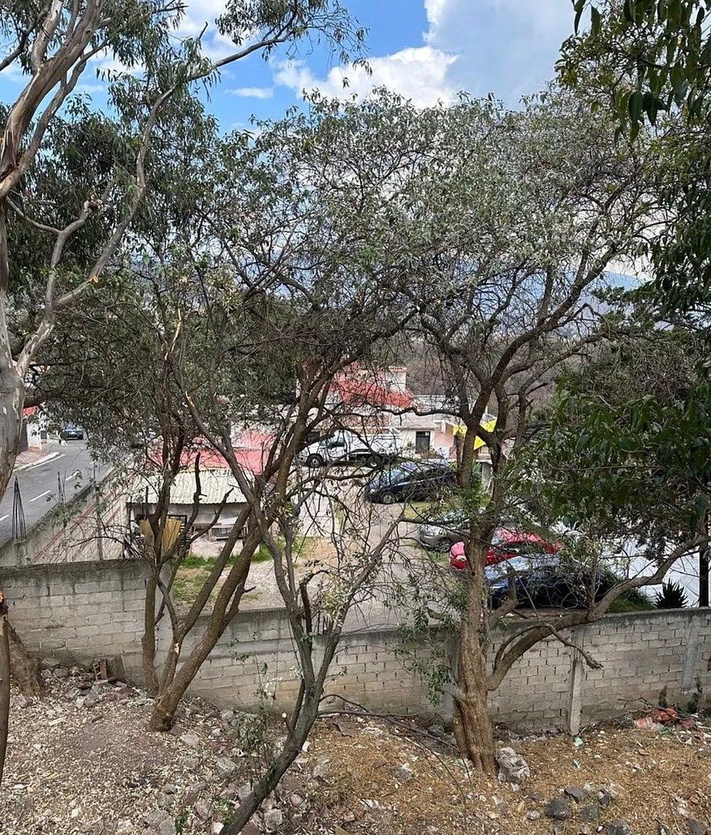 Lot in Cuajimalpa, Cuajimalpa de Morelos, photo 6 of 11