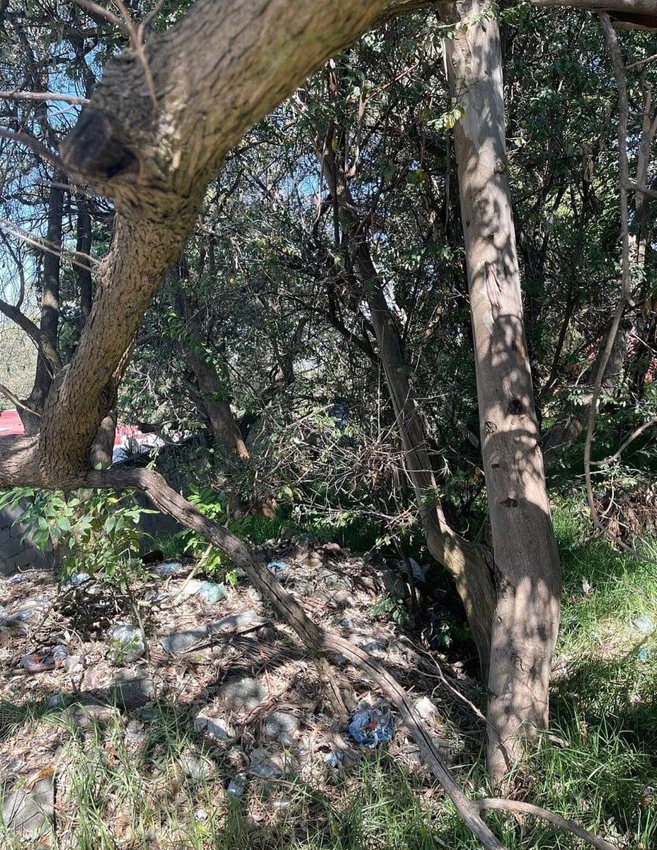 Lot in Cuajimalpa, Cuajimalpa de Morelos, photo 8 of 11