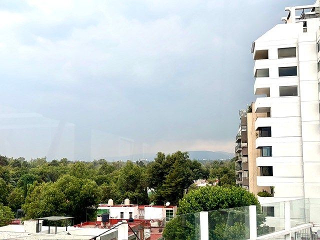 Departamento en Lomas de Chapultepec I Sección, Miguel Hidalgo, foto 17 de 24
