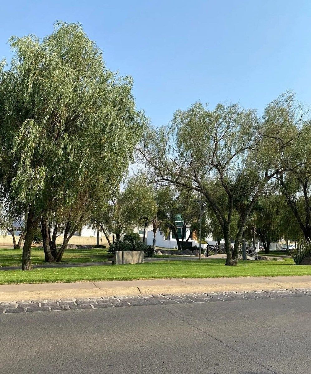Lote em Valle Imperial, Zapopan, foto 3 de 14