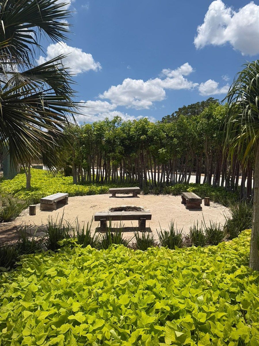 TERRENO EN VENTA EN ALDEA BALHA EN TELCHAC PUERTO, YUCATAN, foto 1 de 6