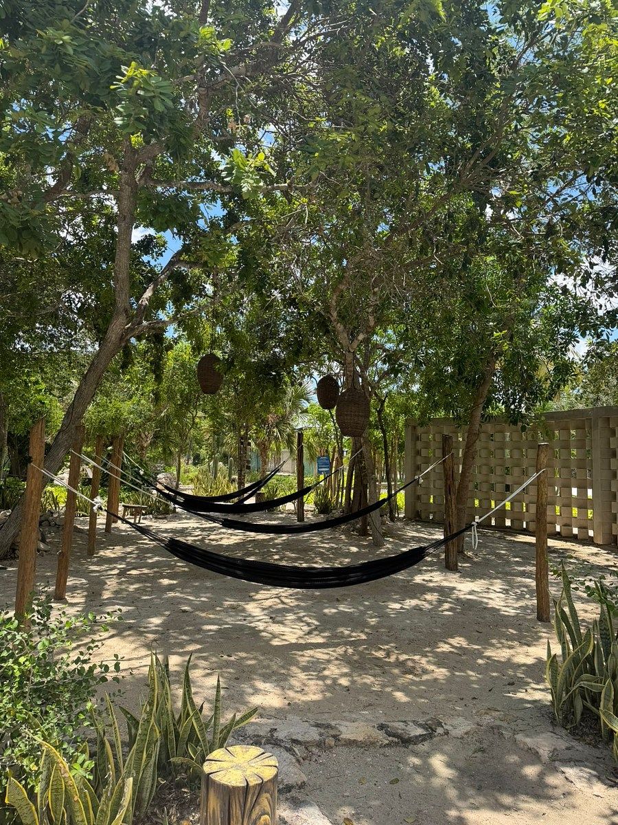 Terreno en Telchac Puerto, Telchac Puerto, foto 3 de 6