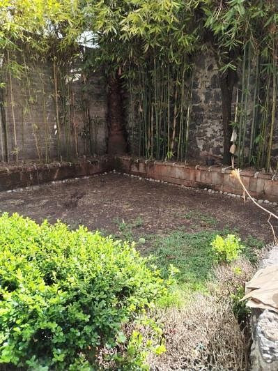 Casa en Héroes de Padierna, Tlalpan, foto 16 de 18