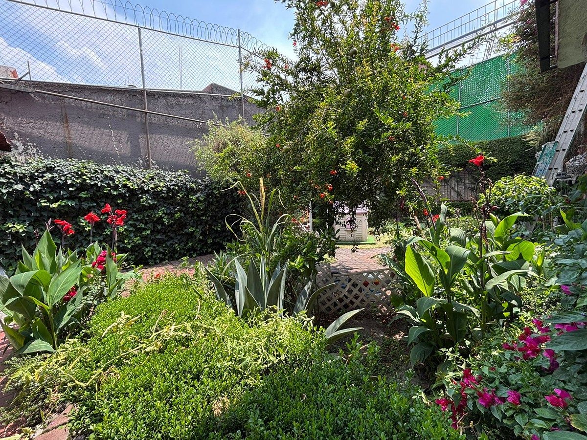 Lot in Villa Quietud, Coyoacán, photo 6 of 10