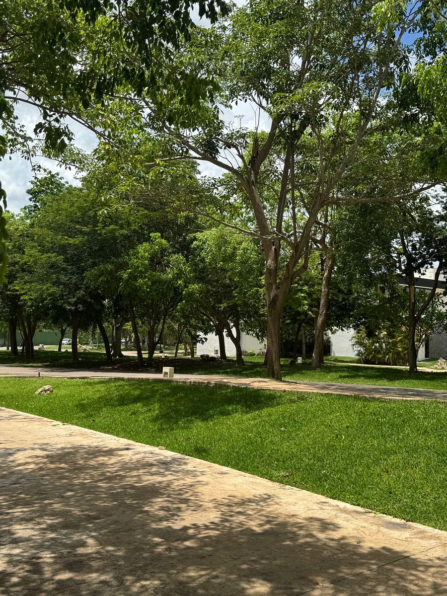 Lote em Parque Natura, Mérida, foto 3 de 11