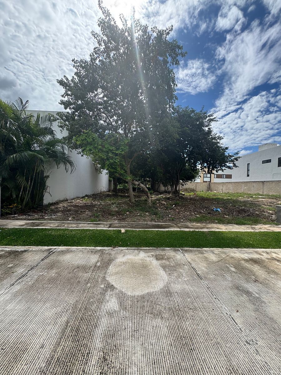 Lote em Parque Natura, Mérida, foto 2 de 11