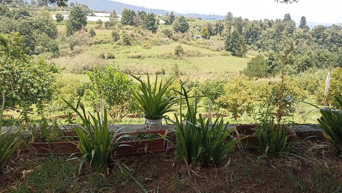 Terreno en Mesas de Dolores, Valle de Bravo, foto 2 de 12