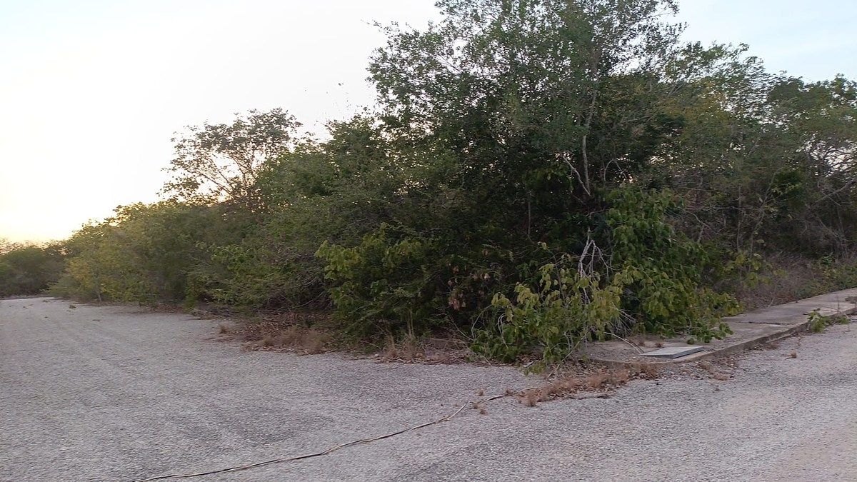 Lote em Komchen, Mérida, foto 5 de 10