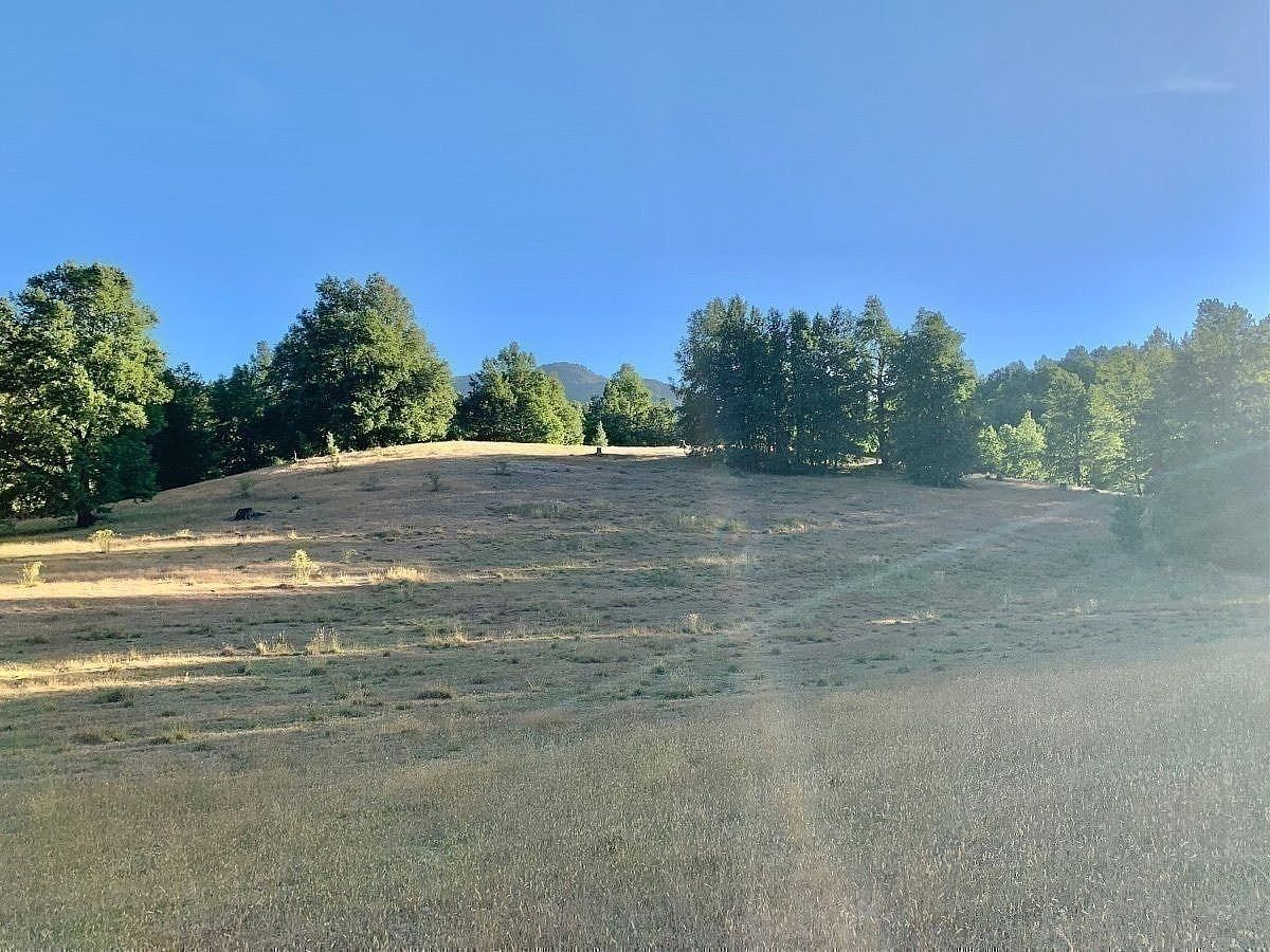Terreno en Curarrehue, foto 10 de 22
