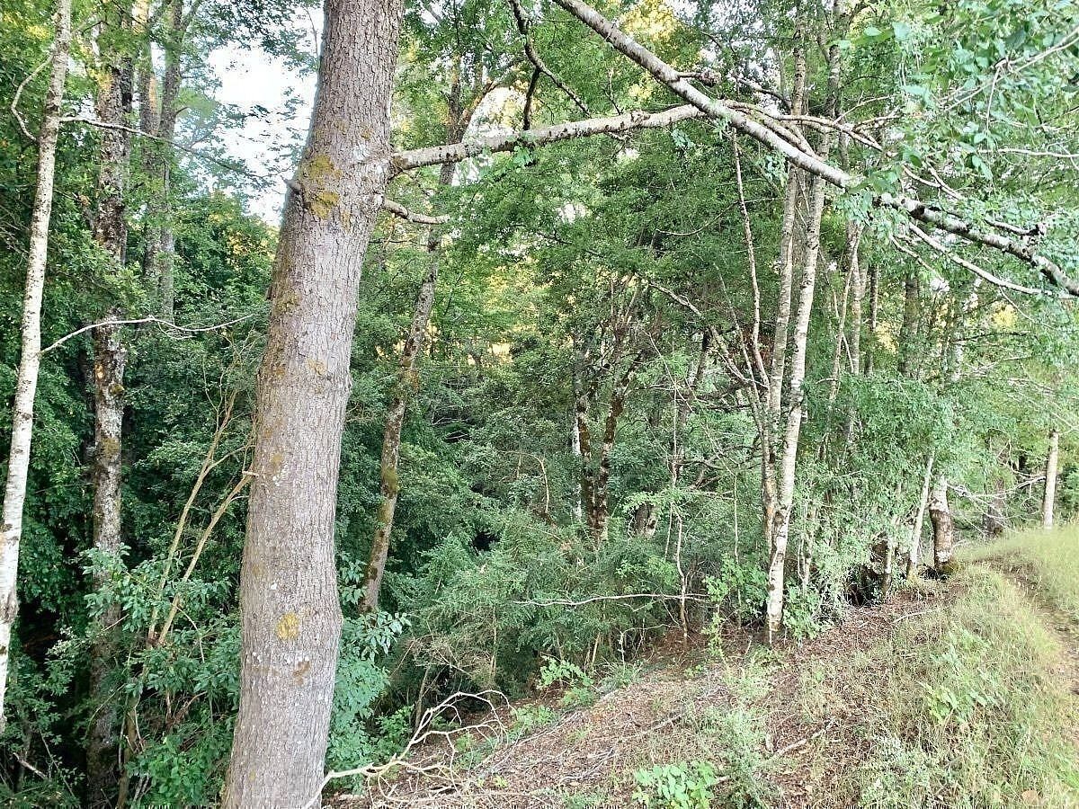 Terreno en Curarrehue, foto 19 de 22