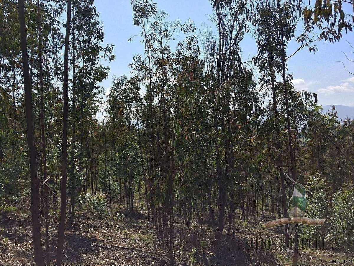 Terreno en Quintero, foto 4 de 50