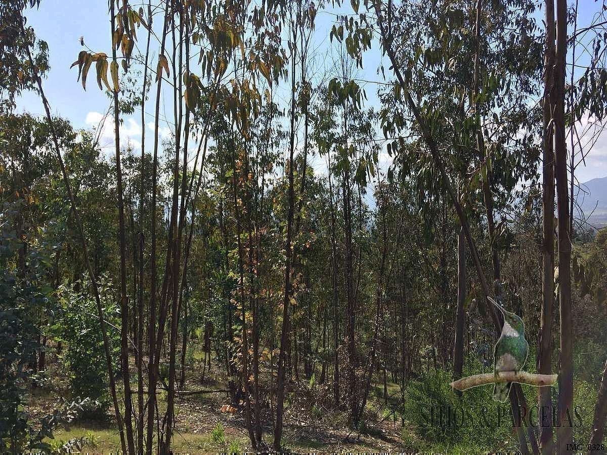 Terreno en Quintero, foto 7 de 50