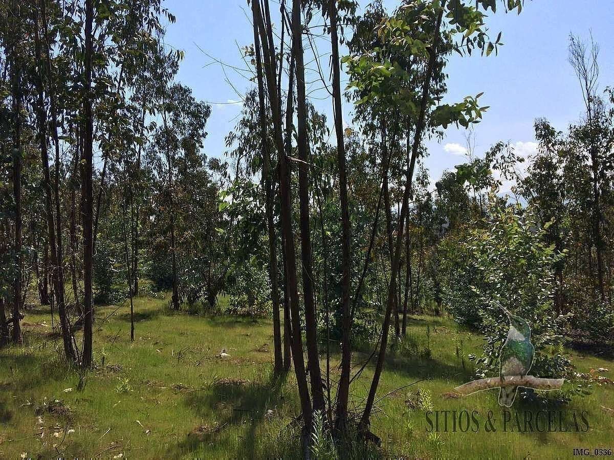 Terreno en Quintero, foto 45 de 50