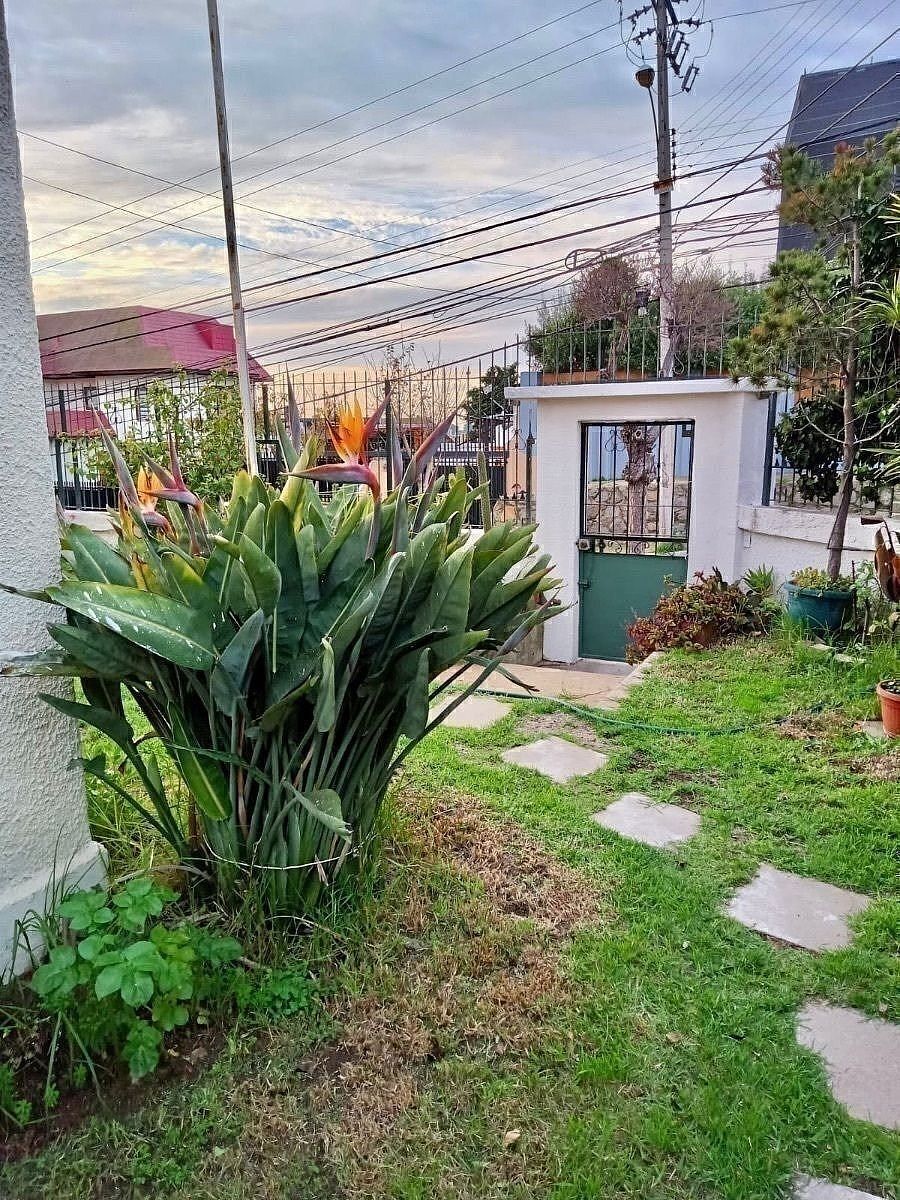 Casa en Agua Santa, Viña del Mar, foto 19 de 48