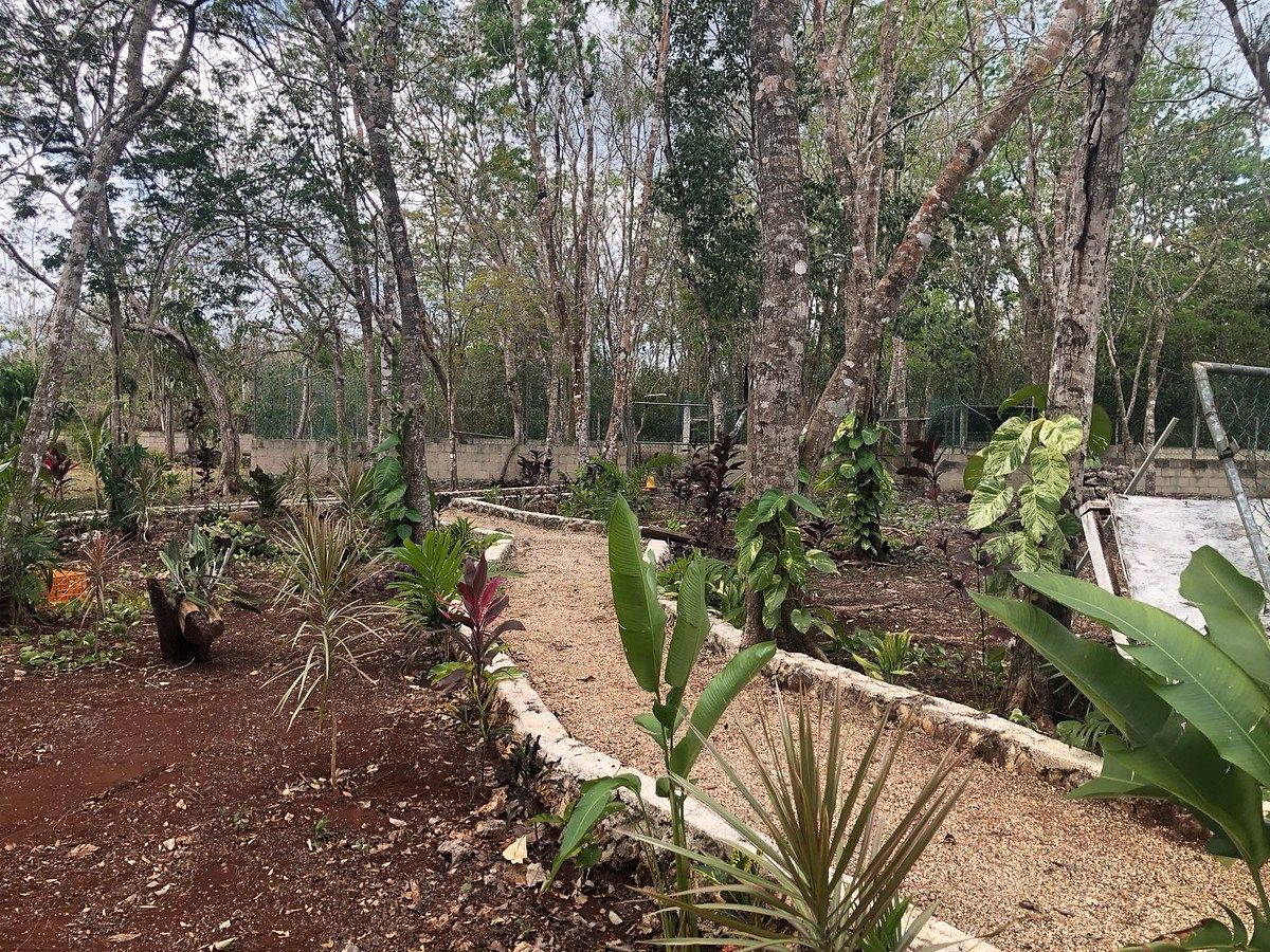 Villa in Leona Vicario, Benito Juárez, photo 5 of 5