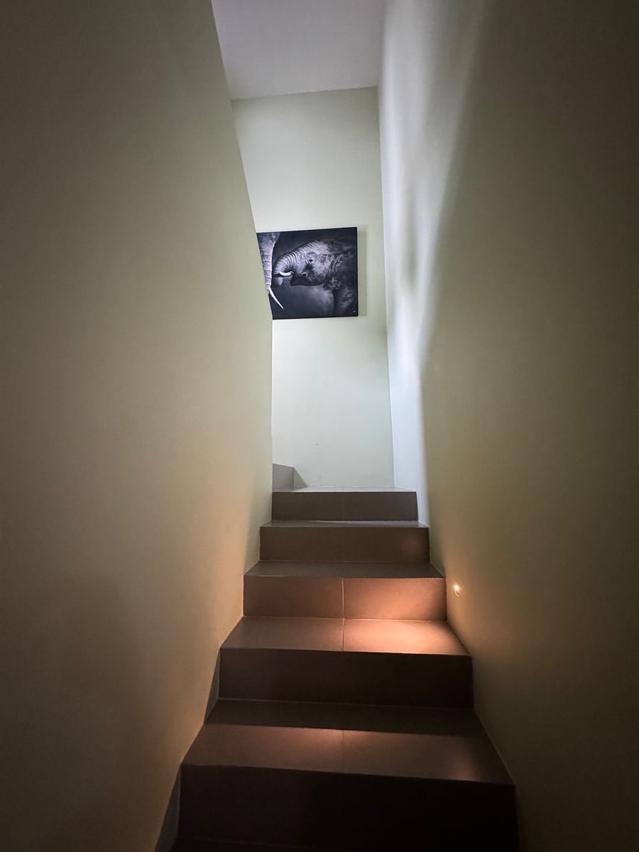 Casa en Cholul, Mérida, foto 8 de 27