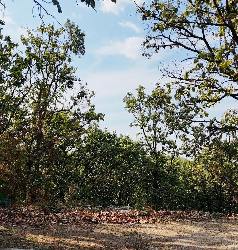 Lot in El Palomar Secc Bosques, Tlajomulco de Zúñiga, photo 10 of 11