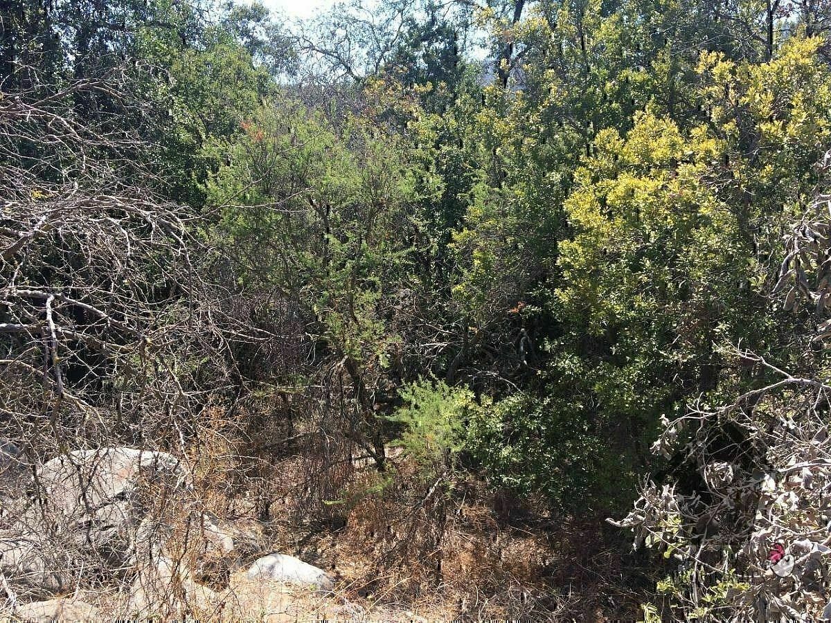 Terreno en Las Palmas de Ocoa, Hijuelas, foto 5 de 26