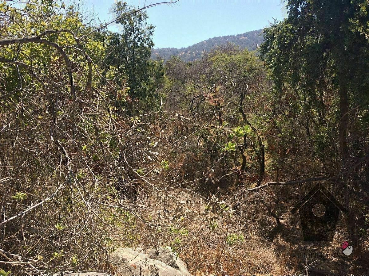 Terreno en Las Palmas de Ocoa, Hijuelas, foto 13 de 26