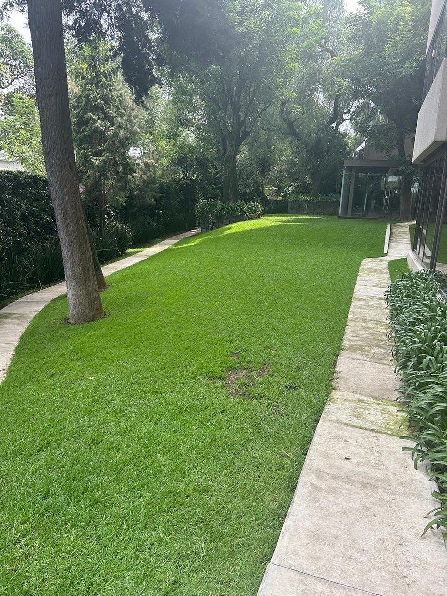 Apartamento em Jardines del Pedregal, Álvaro Obregón, foto 6 de 31