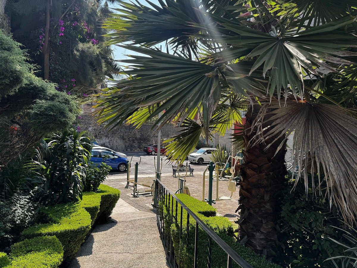 Apartment in La Joya, Tlalpan, photo 17 of 21