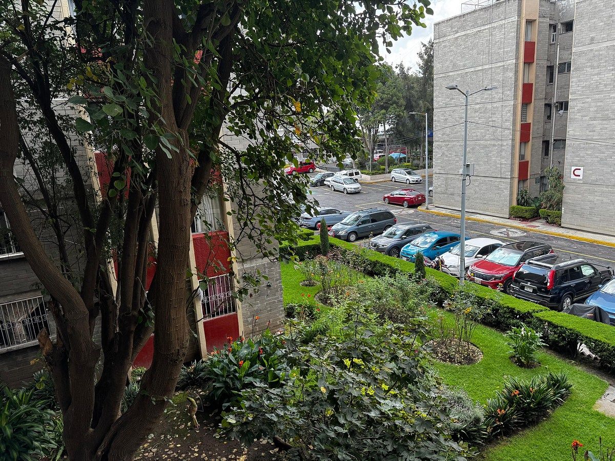 Apartment in La Joya, Tlalpan, photo 18 of 21