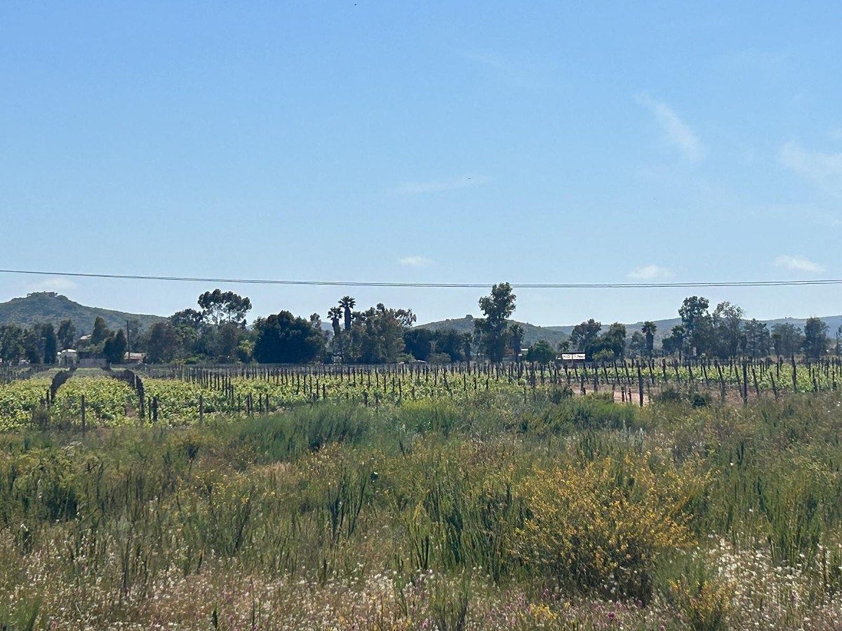 Terreno en El Porvenir, Ensenada, foto 2 de 9
