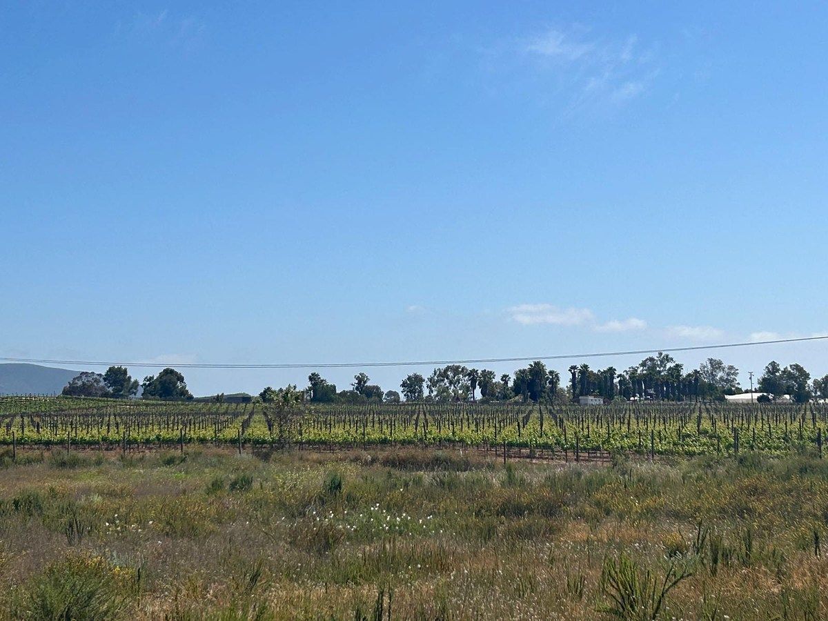 Terreno en El Porvenir, Ensenada, foto 4 de 9